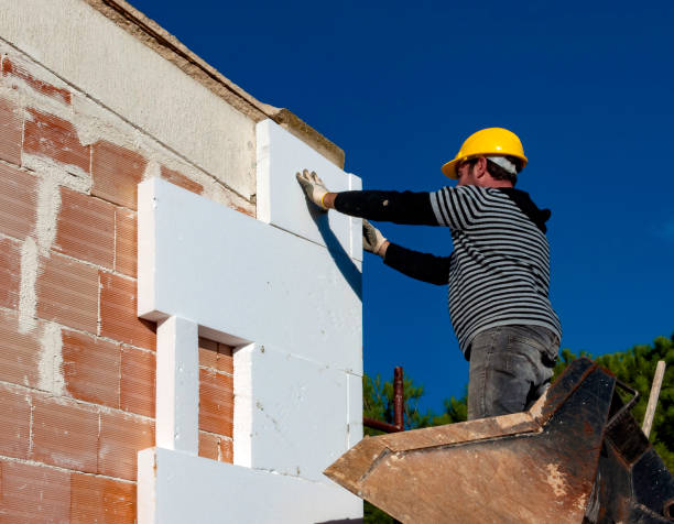 Best Local Insulation Services  in Forreston, IL