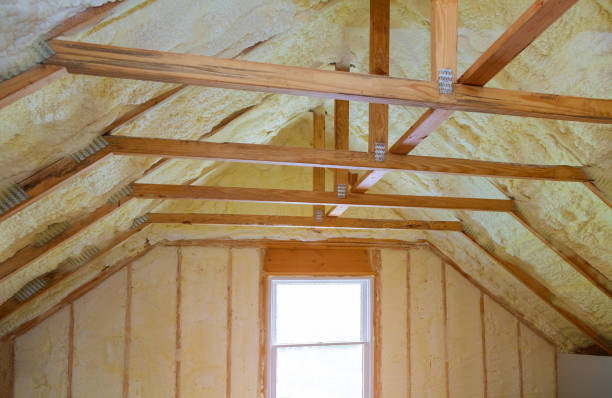 Best Spray Foam Insulation  in Forreston, IL