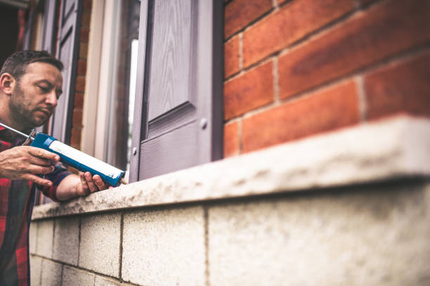 Best Insulation Repair Services  in Forreston, IL
