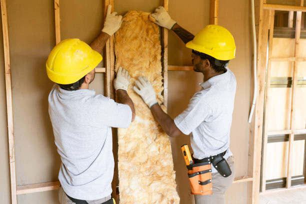 Best Attic Insulation Near Me  in Forreston, IL