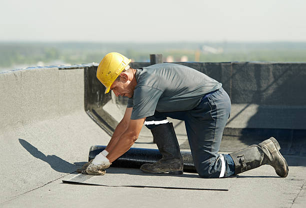 Best Soundproof Insulation Installation  in Forreston, IL