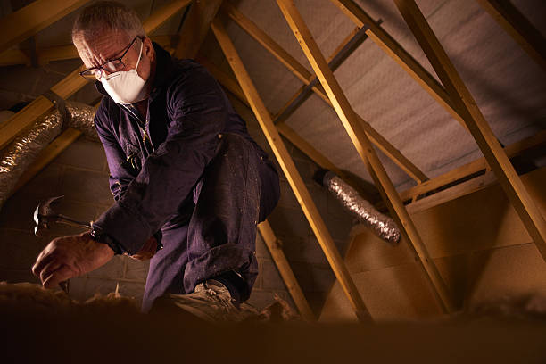 Best Spray Foam Insulation  in Forreston, IL