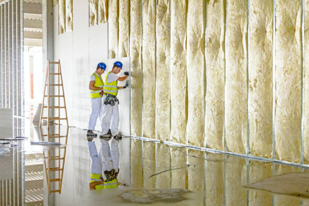 Best Wall Insulation Contractor  in Forreston, IL